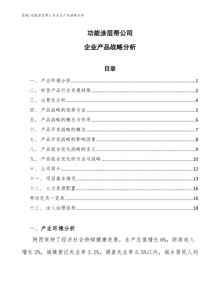 功能涂层带公司企业产品战略分析（参考）_第1页