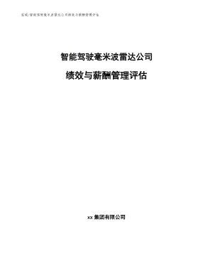 智能驾驶毫米波雷达公司绩效与薪酬管理评估【参考】