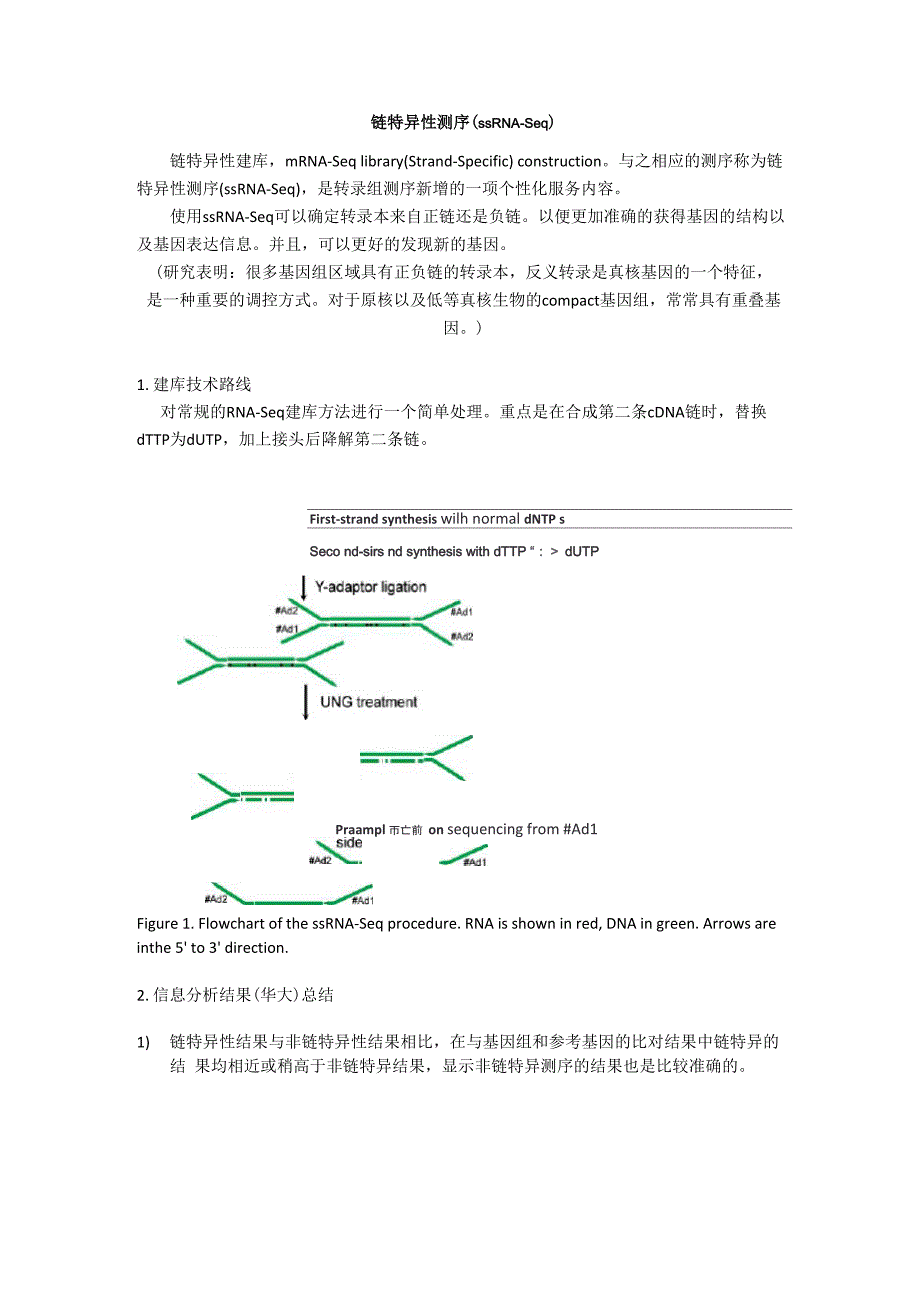 链特异性测序介绍_第1页