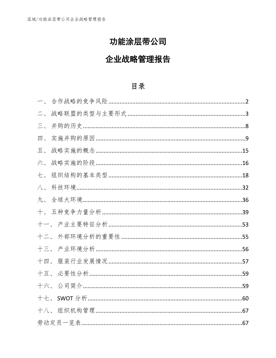 功能涂层带公司企业战略管理报告【参考】_第1页