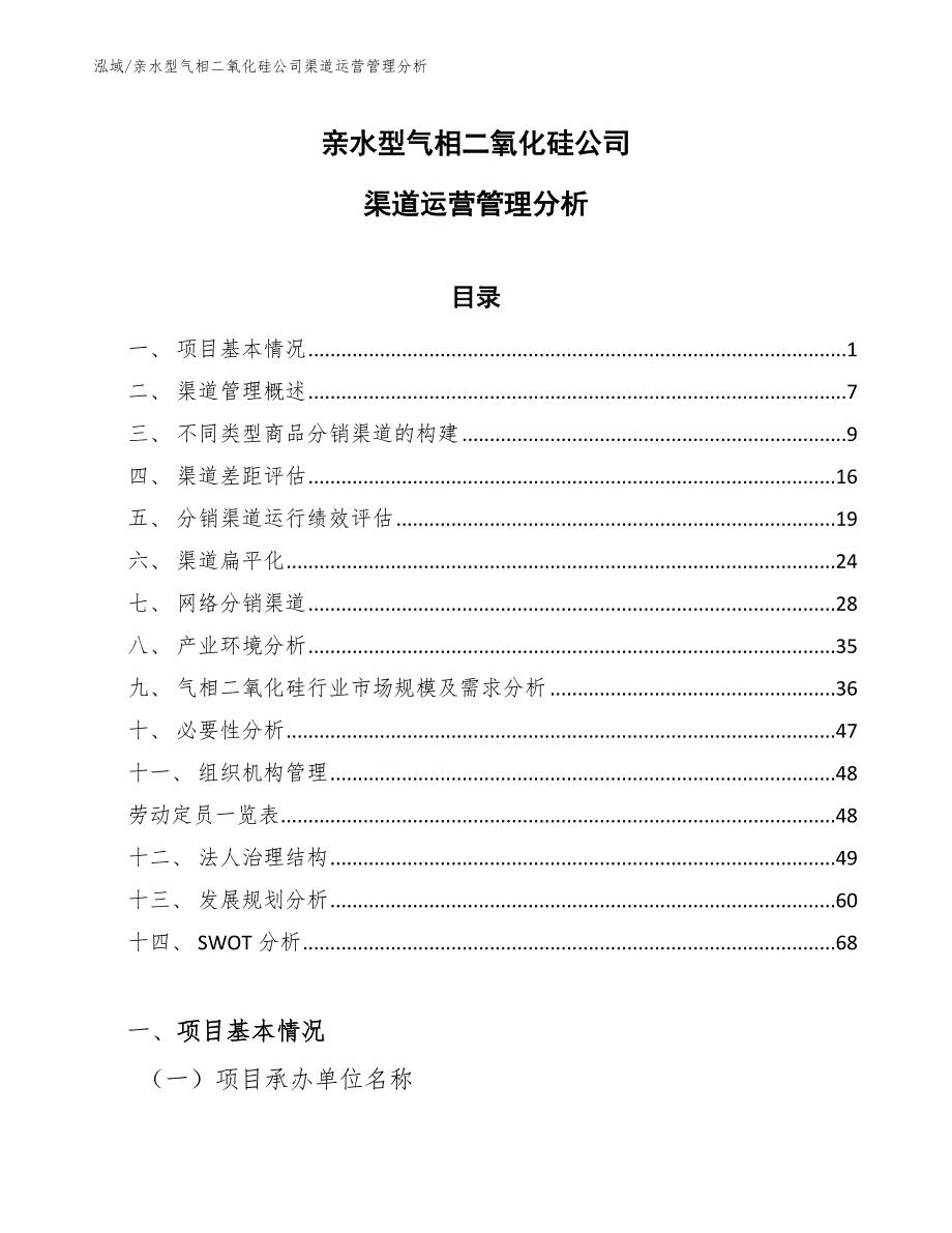 亲水型气相二氧化硅公司渠道运营管理分析_第1页