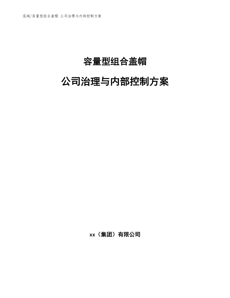 容量型组合盖帽 公司治理与内部控制方案（参考）_第1页