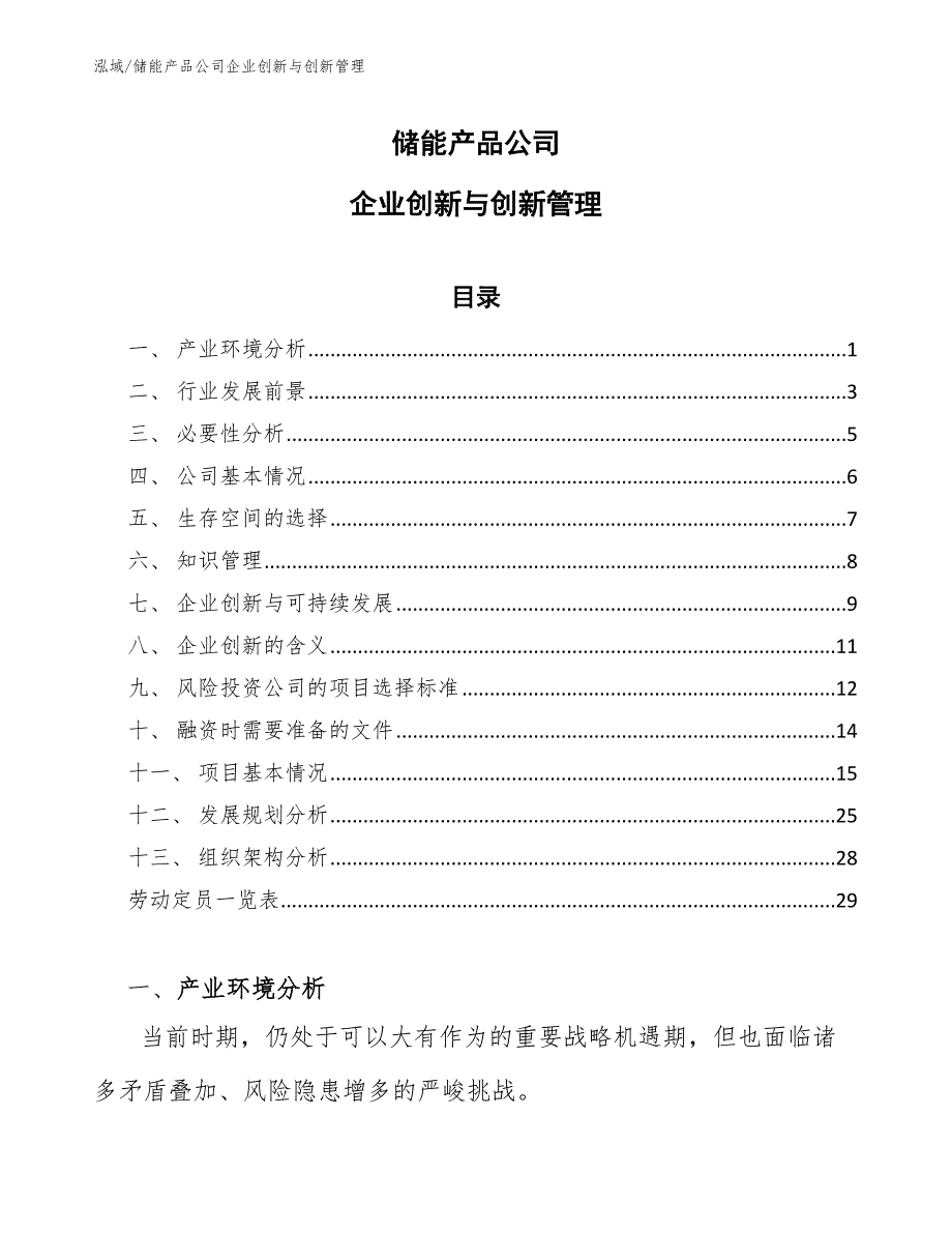 储能产品公司企业创新与创新管理_第1页