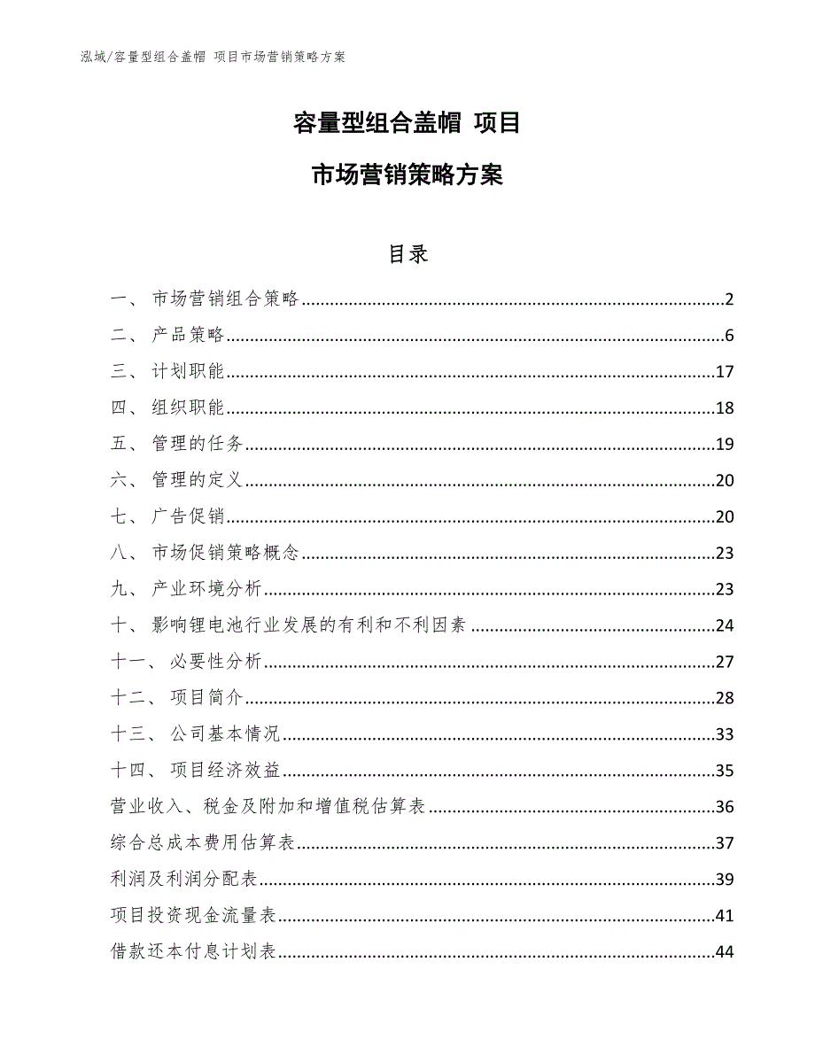 容量型组合盖帽 项目市场营销策略方案_第1页