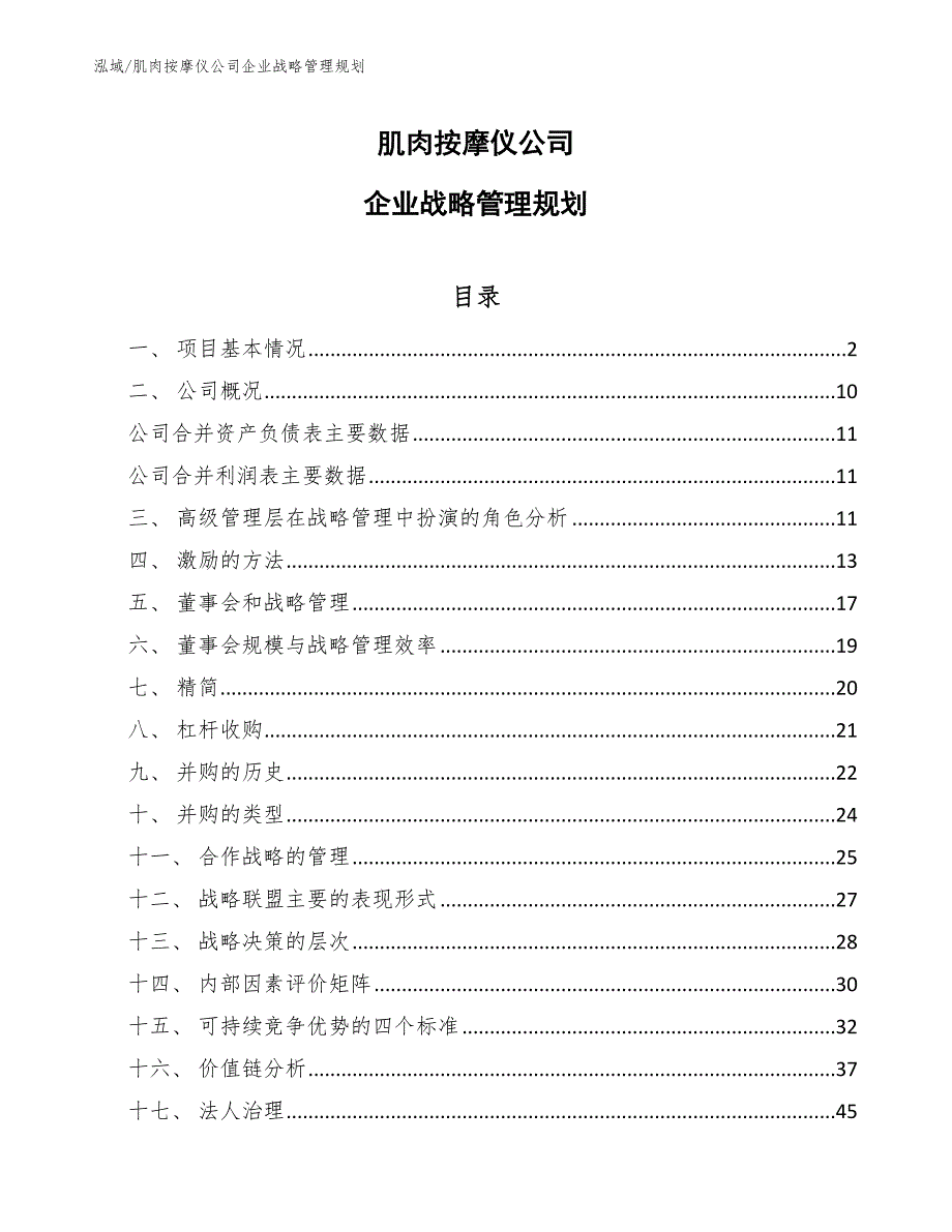 肌肉按摩仪公司企业战略管理规划（参考）_第1页