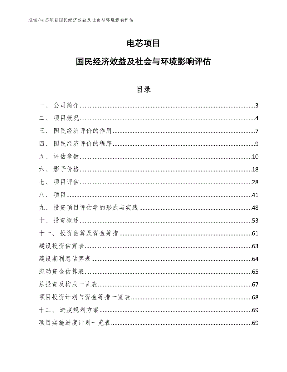 电芯项目国民经济效益及社会与环境影响评估_参考_第1页