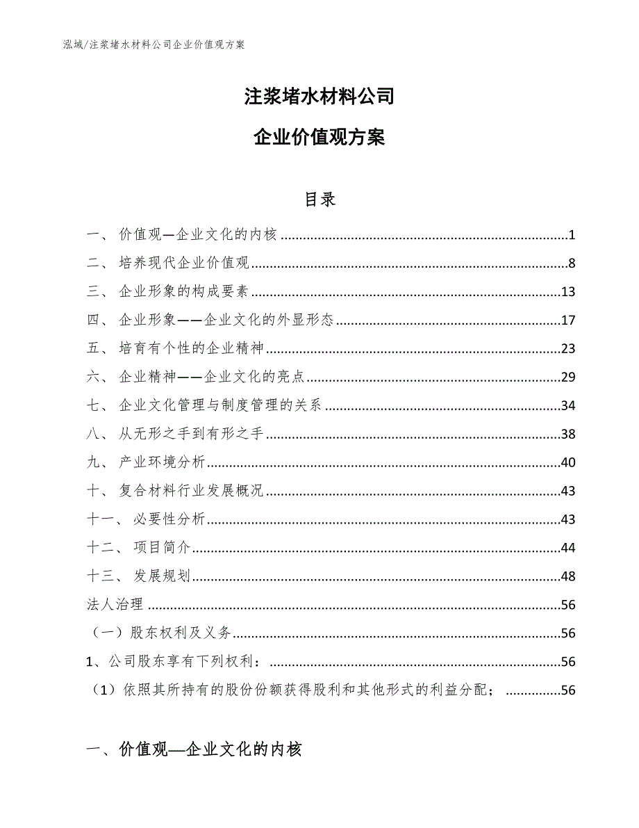 注浆堵水材料公司企业价值观方案【参考】_第1页