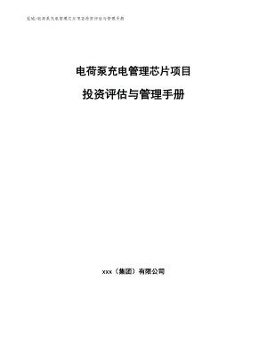 电荷泵充电管理芯片项目投资评估与管理手册