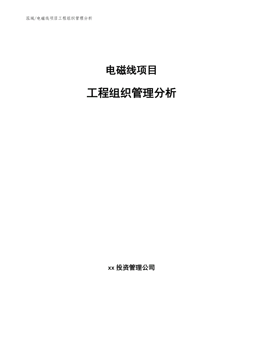 电磁线项目工程组织管理分析（参考）_第1页