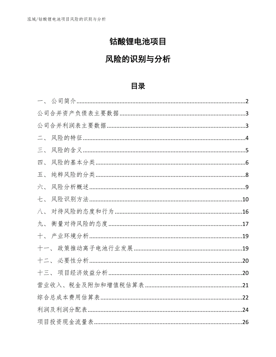 钴酸锂电池项目风险的识别与分析_第1页