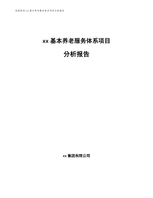 xx基本养老服务体系项目分析报告（范文参考）