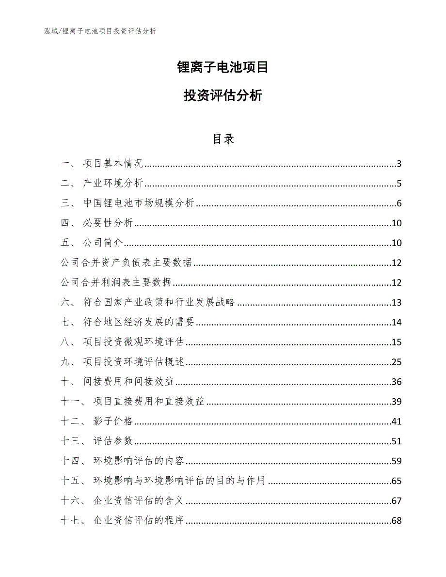 锂离子电池项目投资评估分析【参考】_第1页