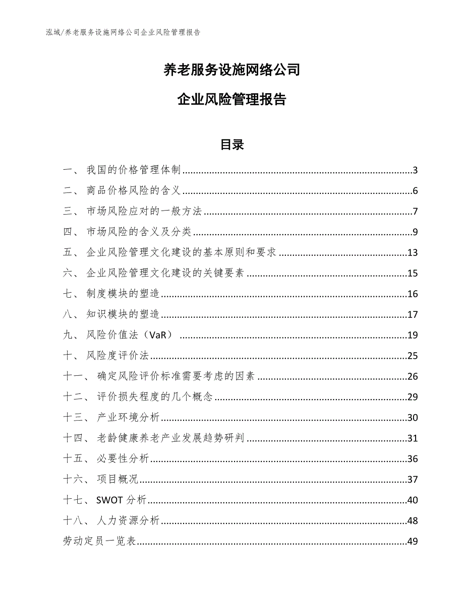 养老服务设施网络公司企业风险管理报告（范文）_第1页