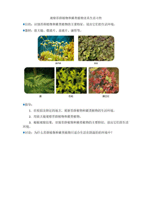 观察苔藓植物和蕨类植物及其生活习性