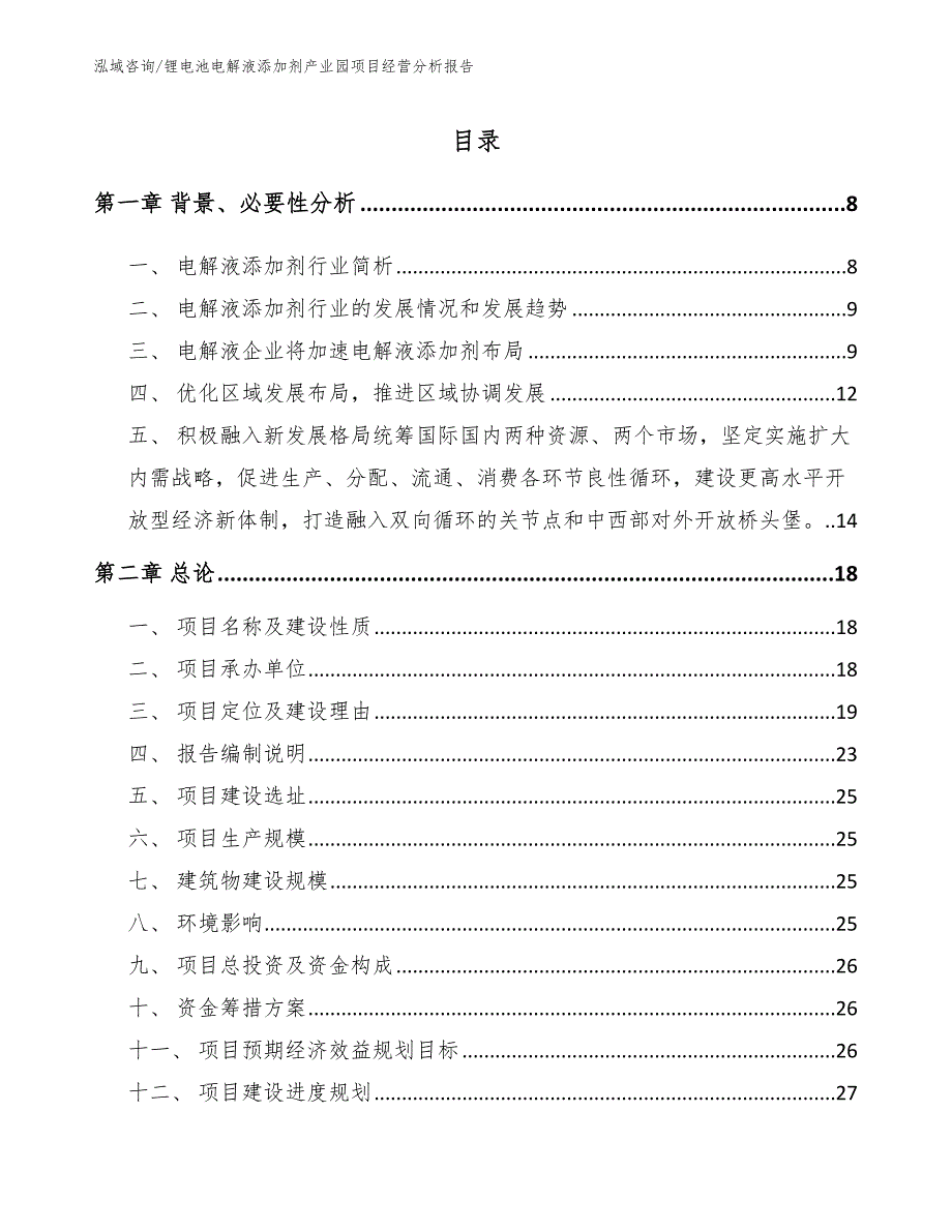 锂电池电解液添加剂产业园项目经营分析报告_模板范文_第1页