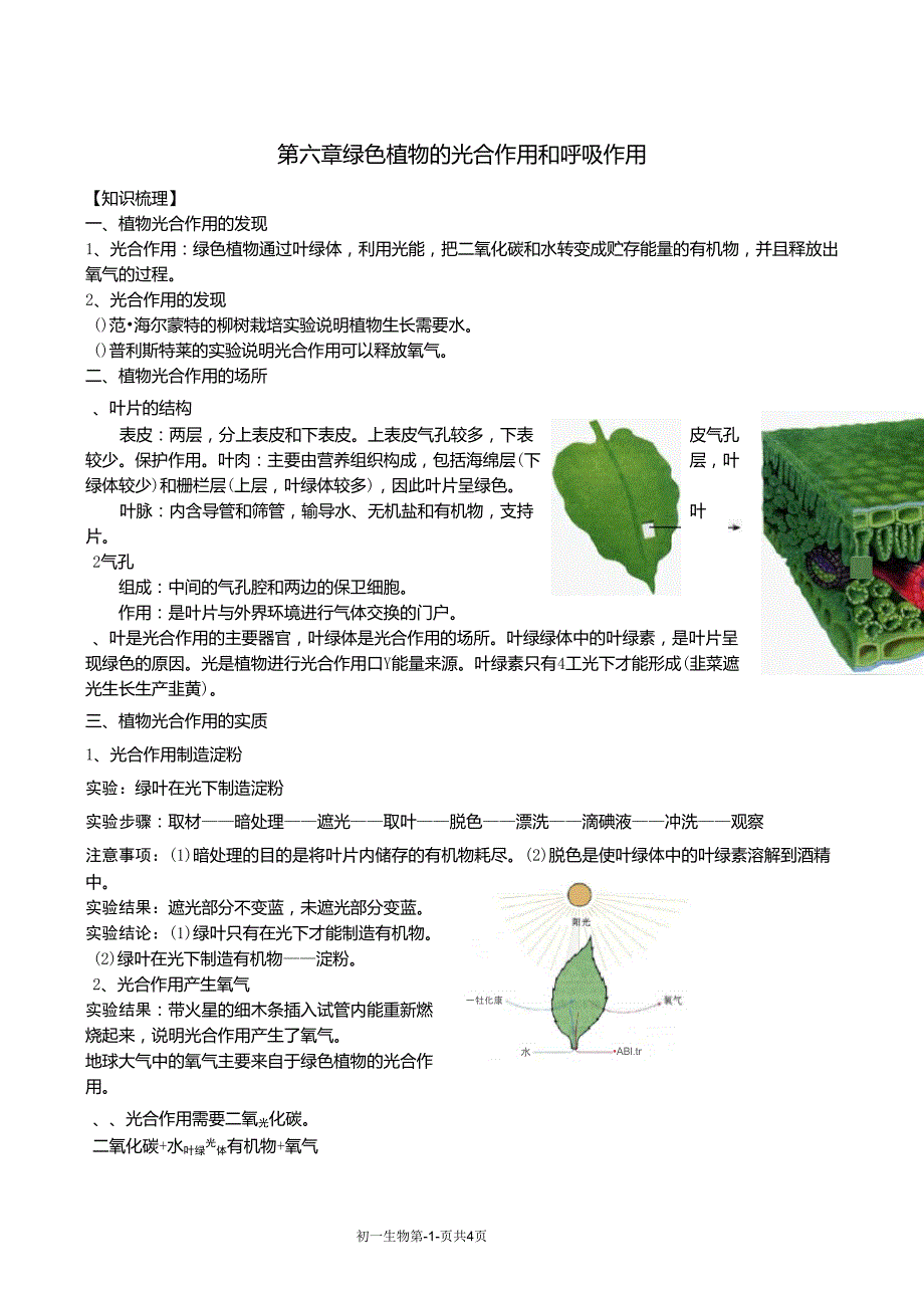 七年级生物上：第六章绿色植物的光合作用和呼吸作用用复习学案_第1页