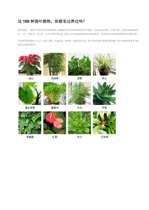 100种观叶植物介绍