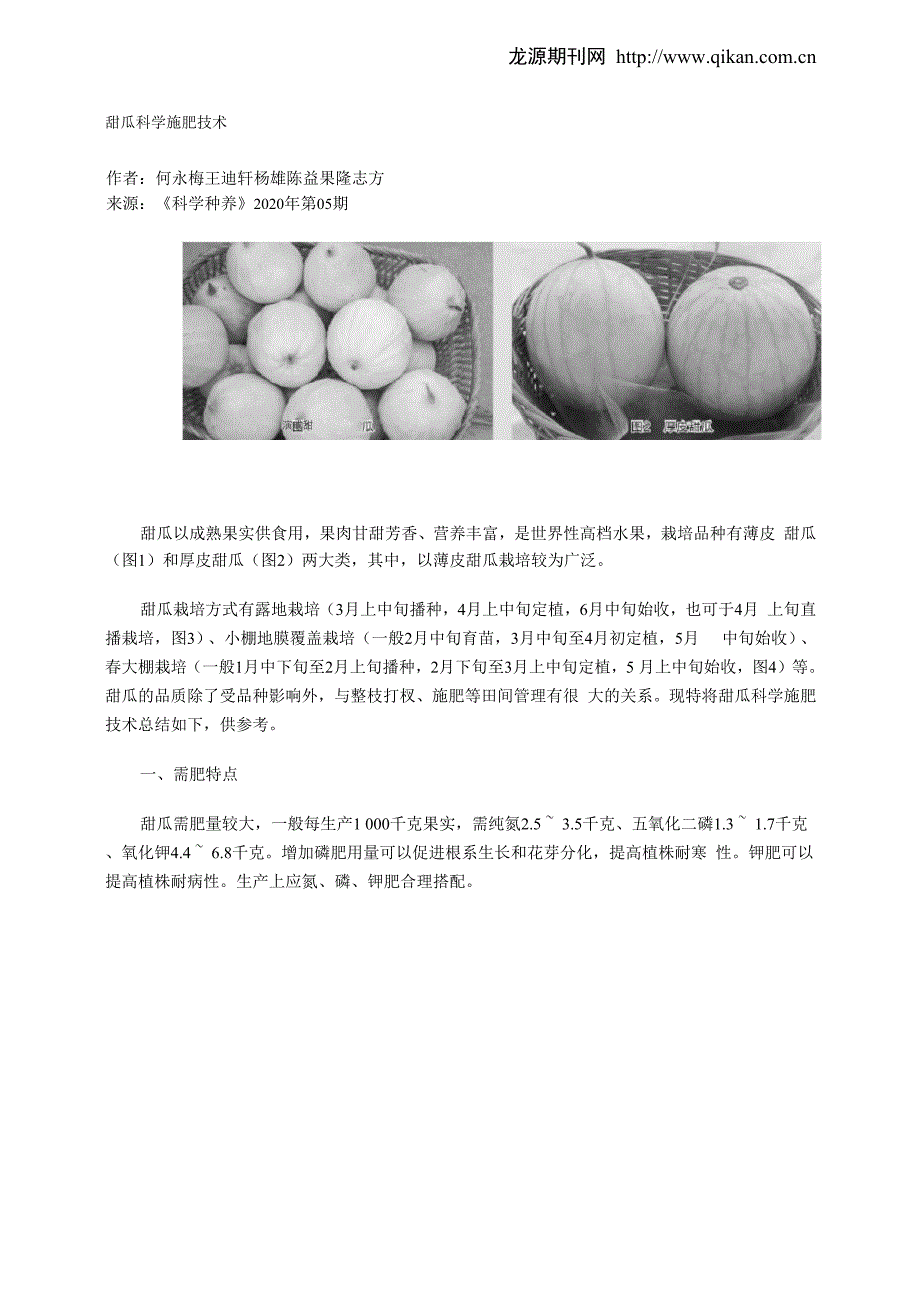 甜瓜科学施肥技术_第1页