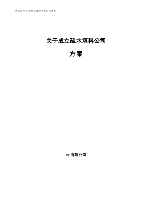 关于成立疏水填料公司方案