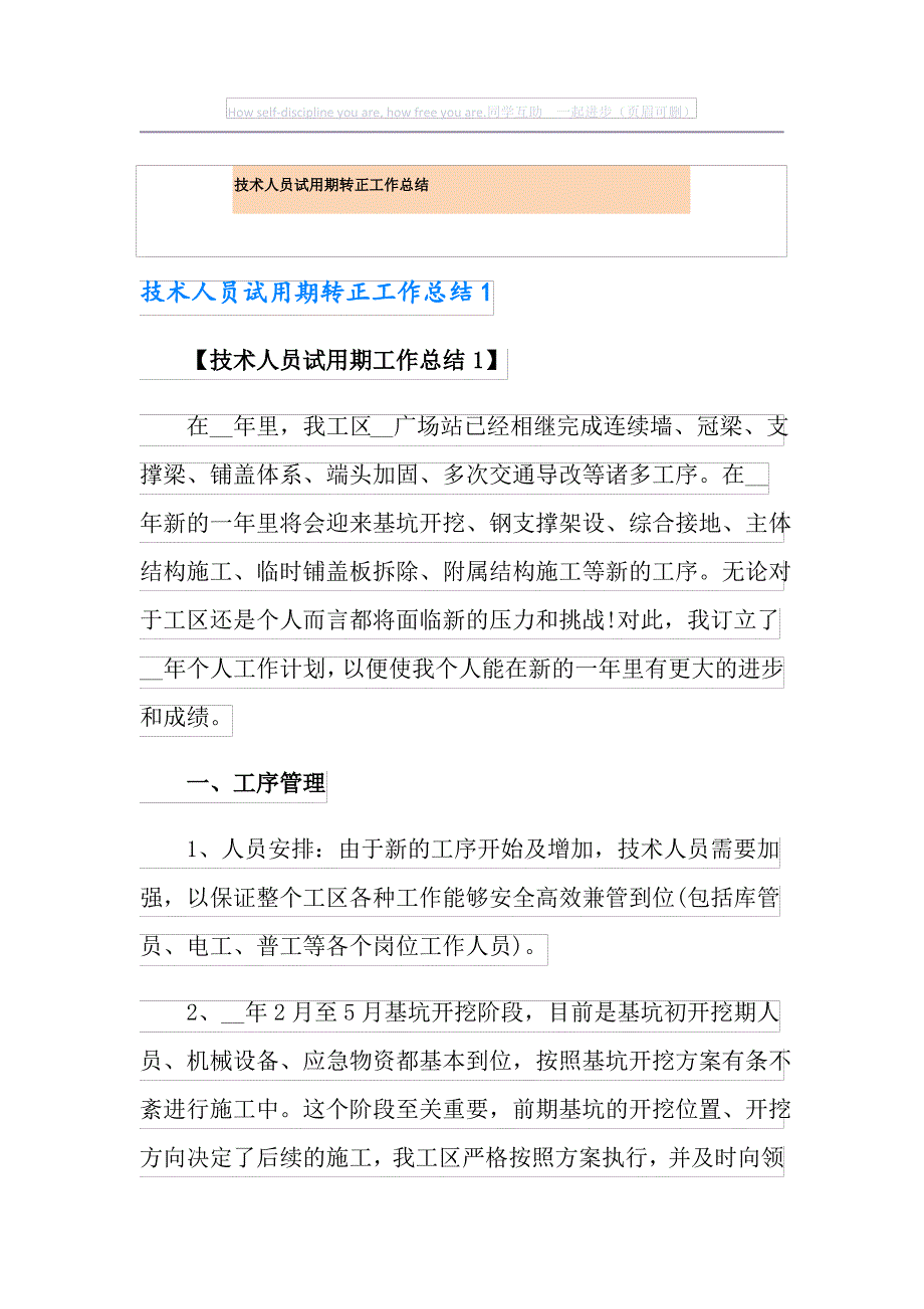 技术人员试用期转正工作总结_第1页