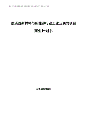 辰溪县新材料与新能源行业工业互联网项目商业计划书