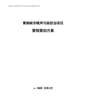 青铜峡市噪声污染防治项目营销策划方案