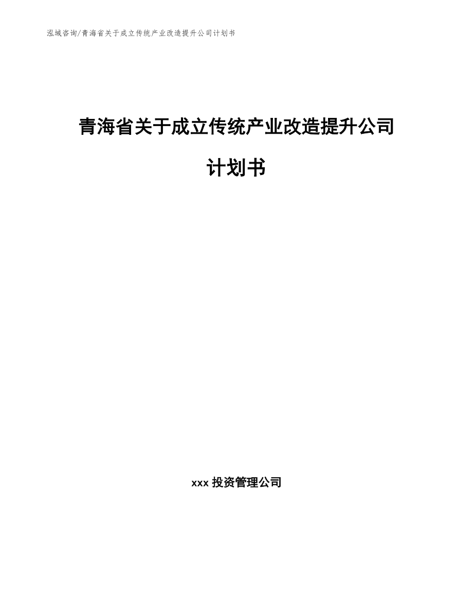 青海省关于成立传统产业改造提升公司计划书参考模板_第1页