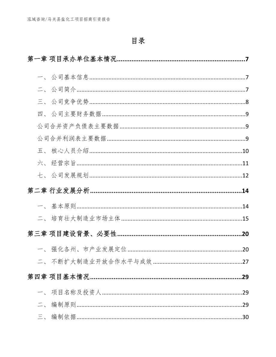 马关县盐化工项目招商引资报告模板_第1页