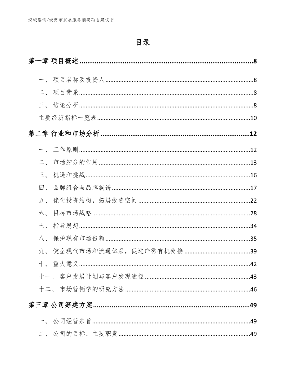 蛟河市发展服务消费项目建议书_第1页
