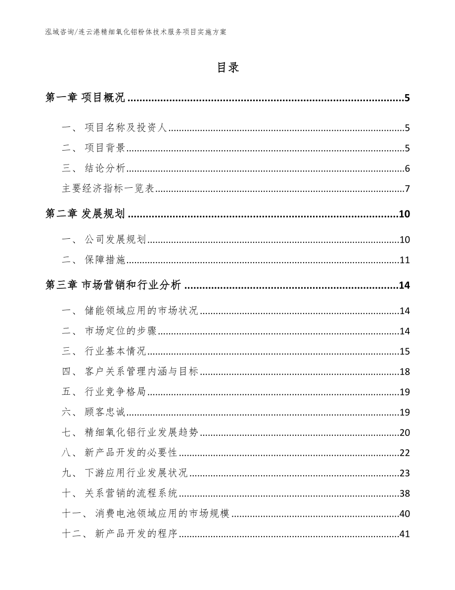 连云港精细氧化铝粉体技术服务项目实施方案_模板_第1页