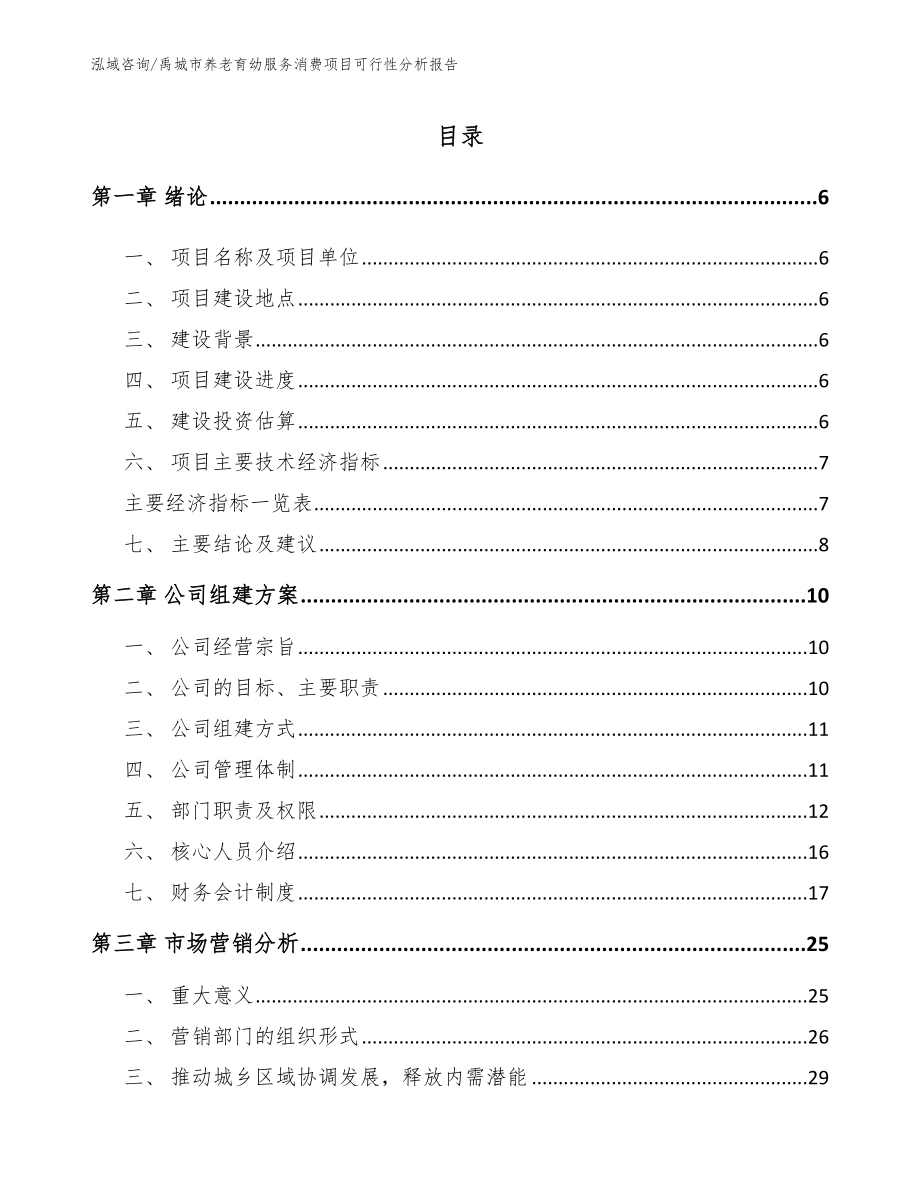 禹城市养老育幼服务消费项目可行性分析报告（模板）_第1页