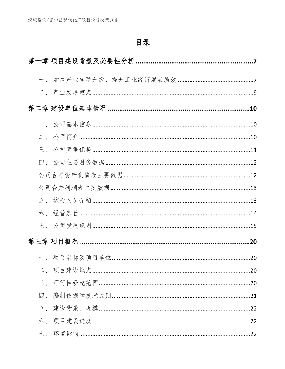 雷山县现代化工项目投资决策报告_第1页