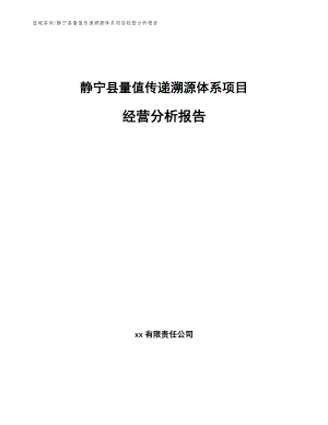 静宁县量值传递溯源体系项目经营分析报告