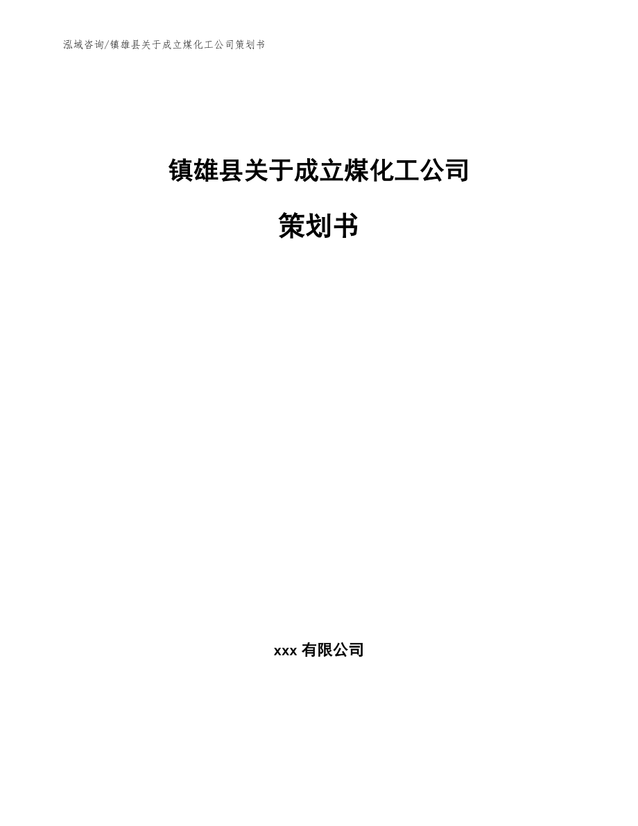 镇雄县关于成立煤化工公司策划书模板范本_第1页