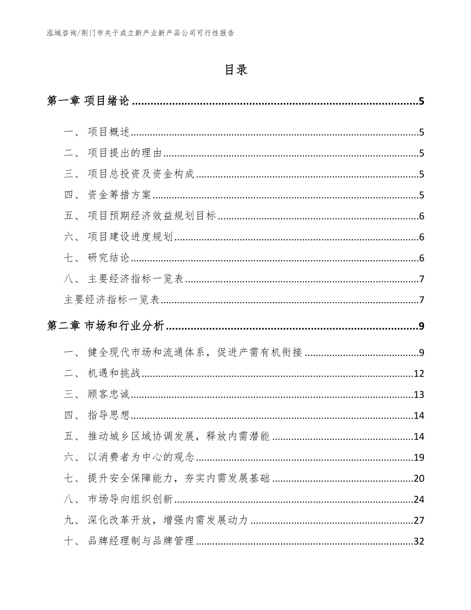 荆门市关于成立新产业新产品公司可行性报告_第1页