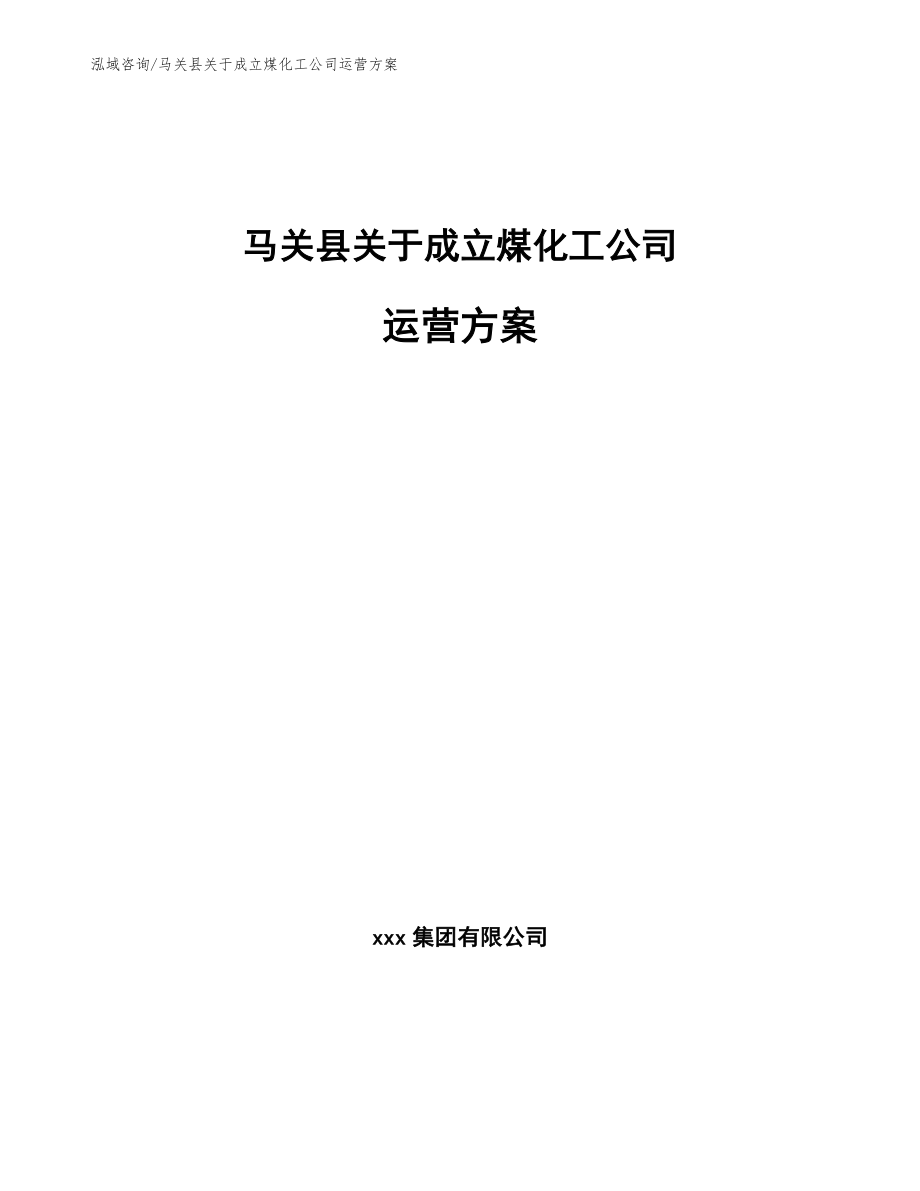 马关县关于成立煤化工公司运营方案_第1页