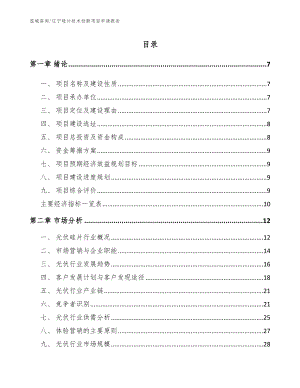 辽宁硅片技术创新项目申请报告_参考范文