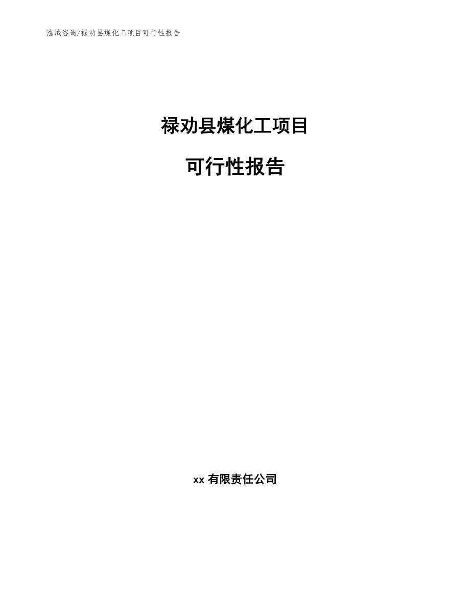 禄劝县煤化工项目可行性报告_第1页