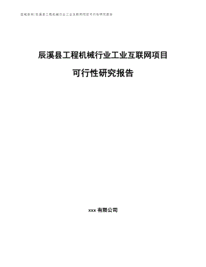 辰溪县工程机械行业工业互联网项目可行性研究报告范文参考