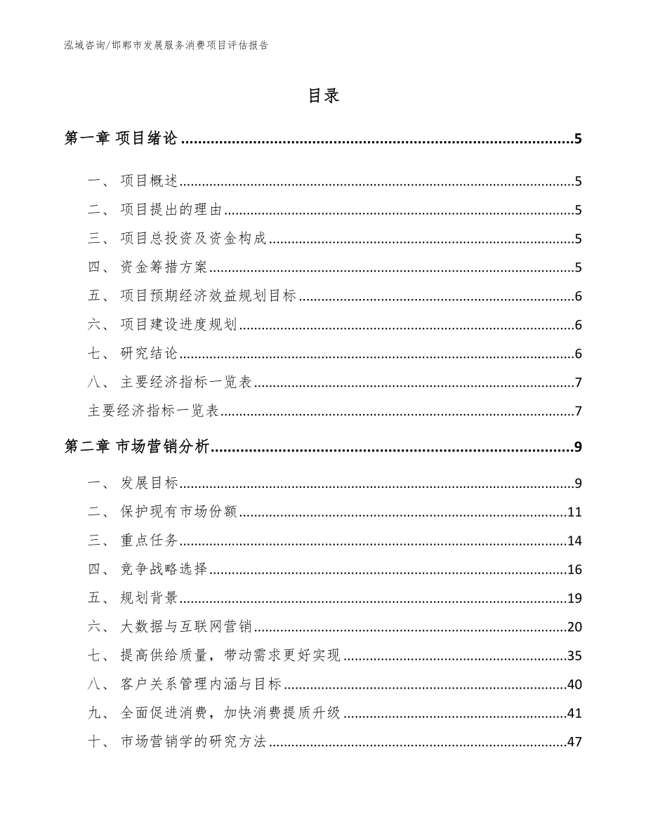 邯郸市发展服务消费项目评估报告范文模板_第1页