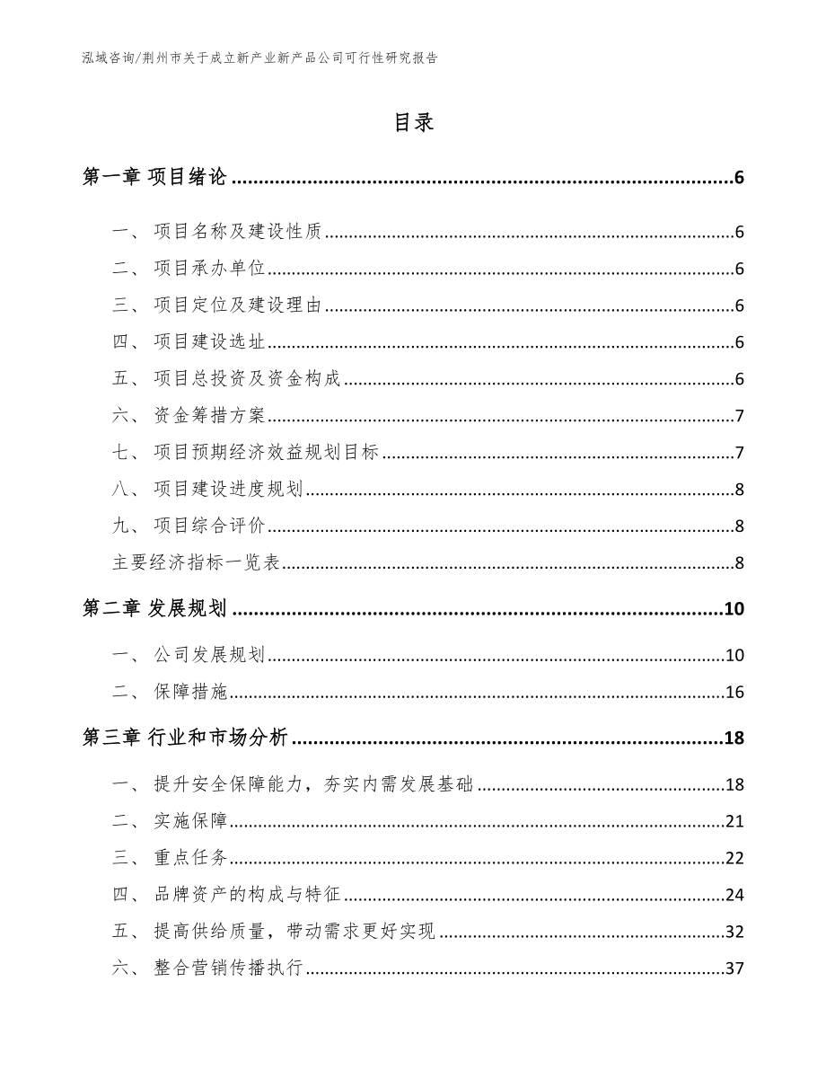荆州市关于成立新产业新产品公司可行性研究报告（范文参考）_第1页
