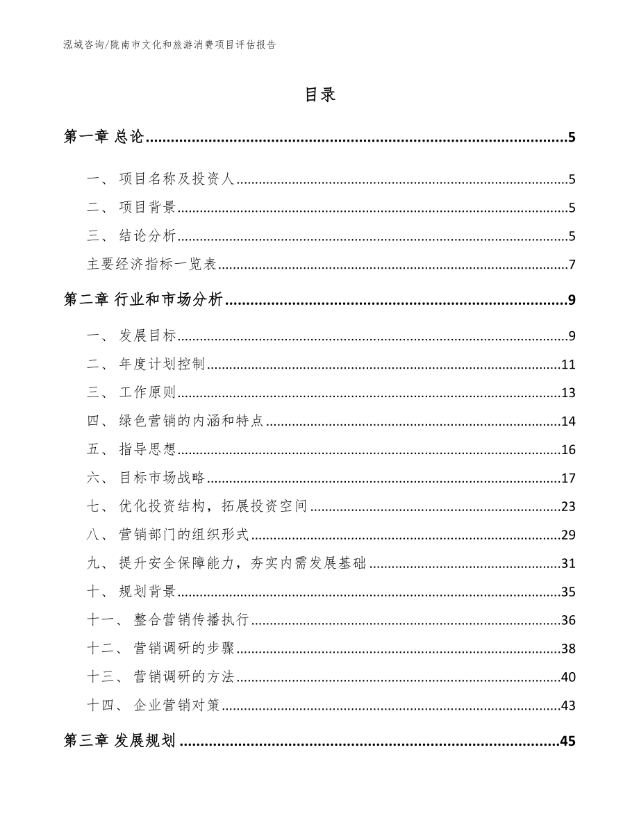 陇南市文化和旅游消费项目评估报告【模板】_第1页