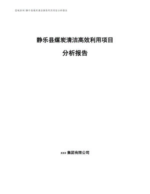 静乐县煤炭清洁高效利用项目分析报告_范文模板