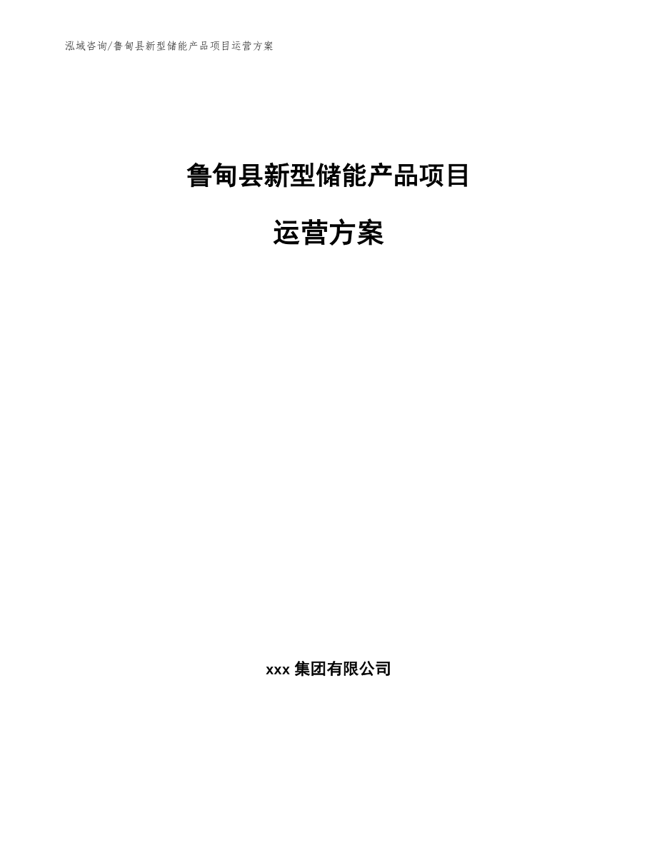 鲁甸县新型储能产品项目运营方案_范文参考_第1页