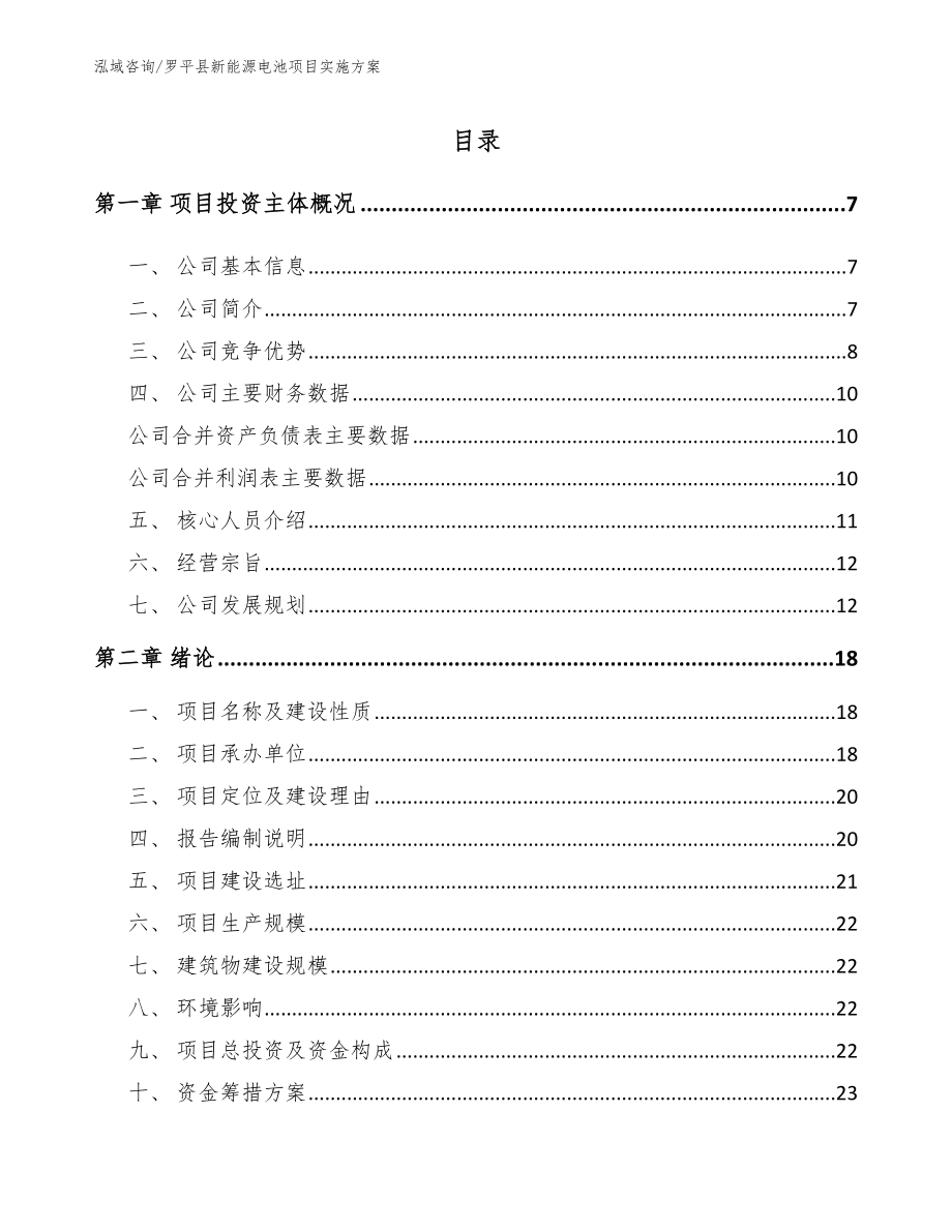 罗平县新能源电池项目实施方案范文_第1页