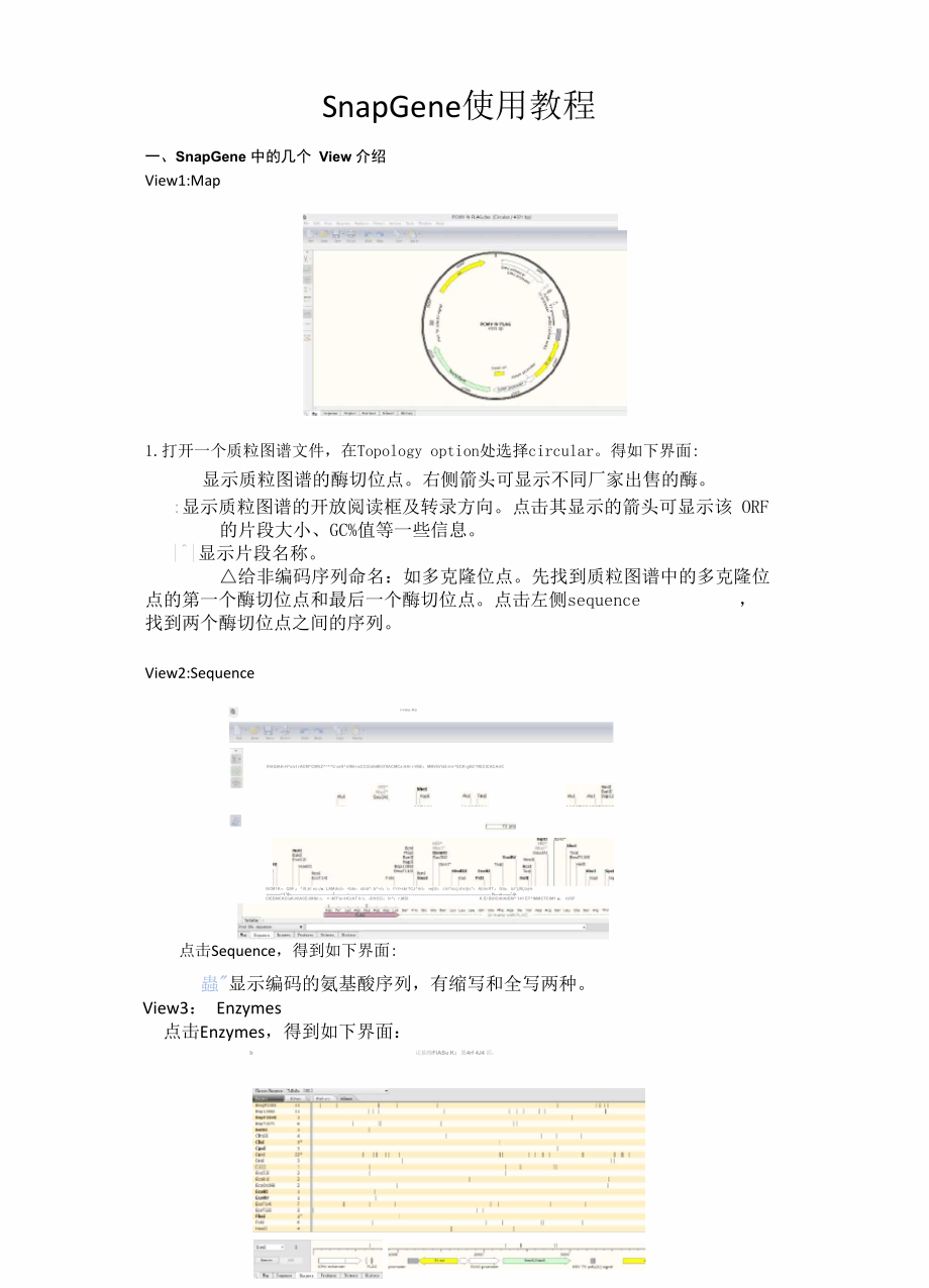 SnapGene中文使用教程_第1页