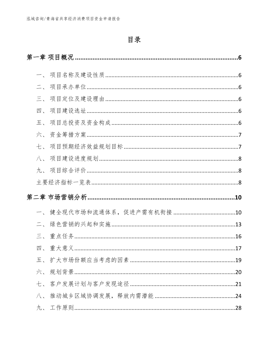 青海省共享经济消费项目资金申请报告_第1页