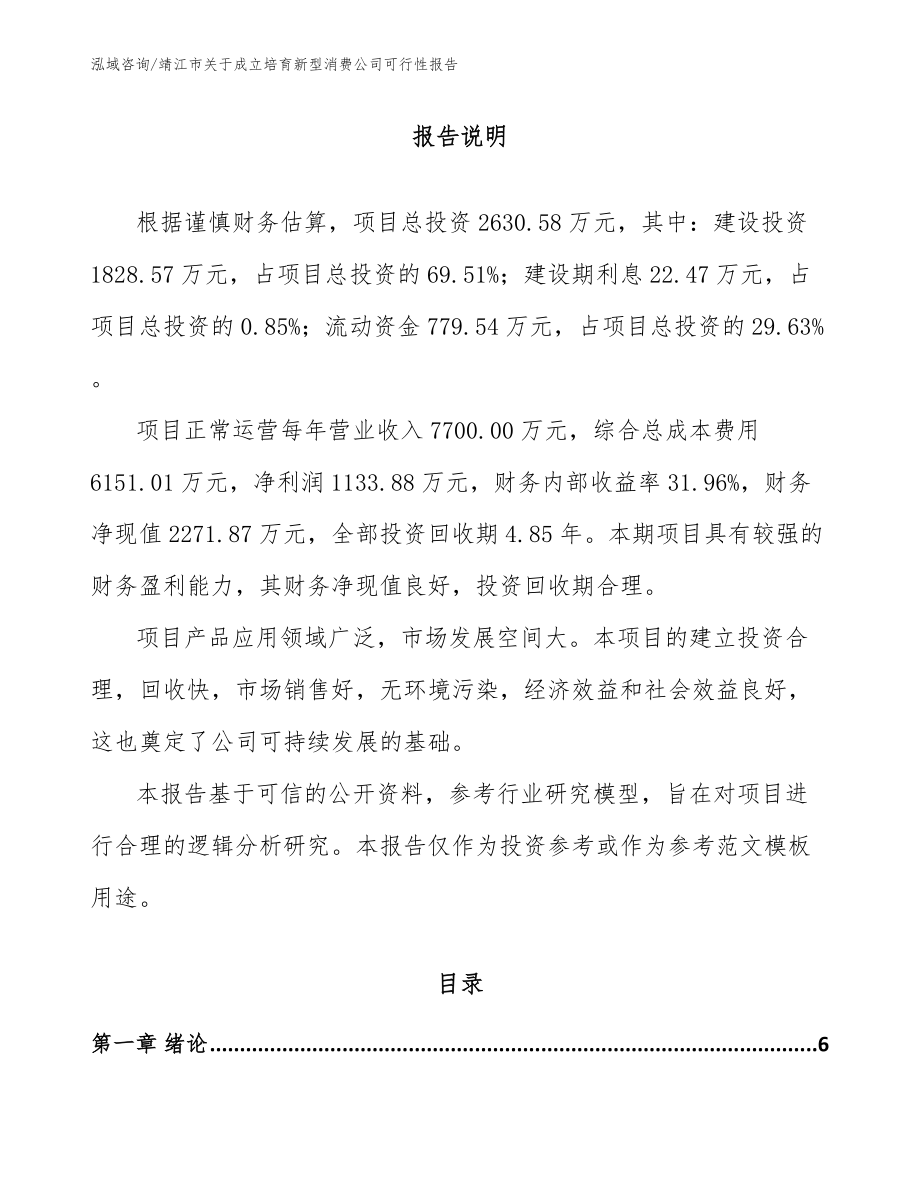 靖江市关于成立培育新型消费公司可行性报告范文参考_第1页