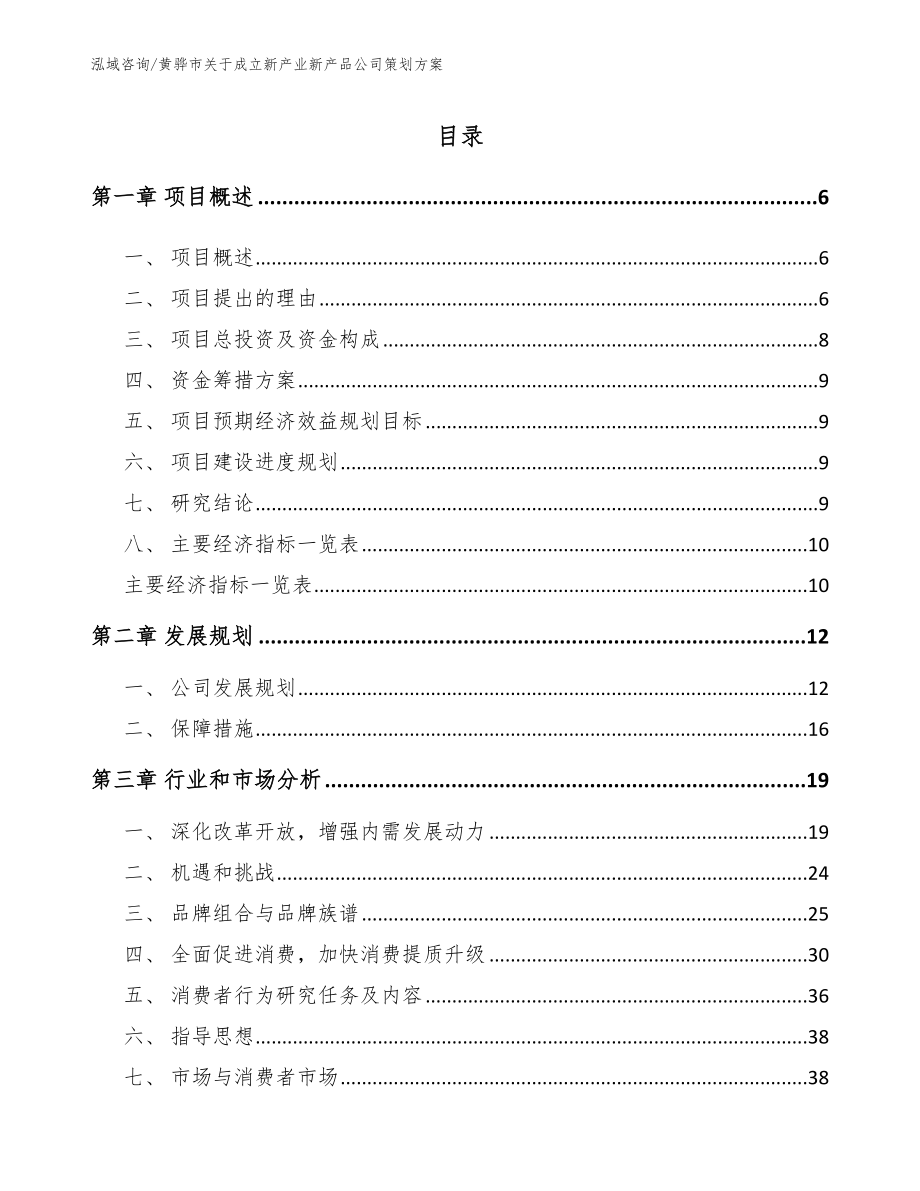 黄骅市关于成立新产业新产品公司策划方案_第1页