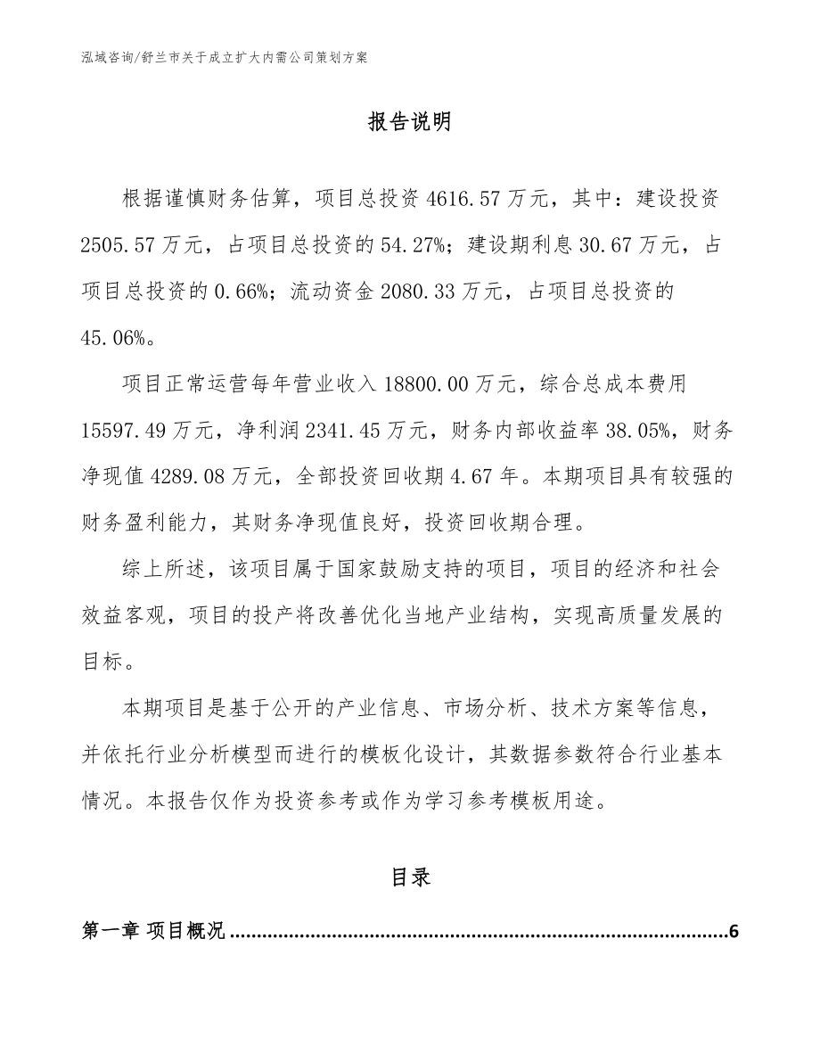 舒兰市关于成立扩大内需公司策划方案（参考范文）_第1页